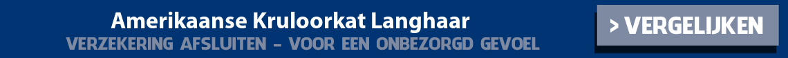 dierenverzekering-amerikaanse-kruloorkat-langhaar