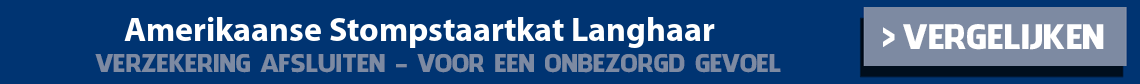 dierenverzekering-amerikaanse-stompstaartkat-langhaar