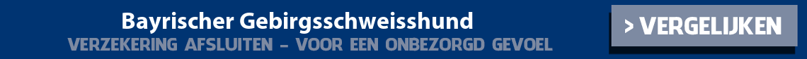dierenverzekering-bayrischer-gebirgsschweisshund