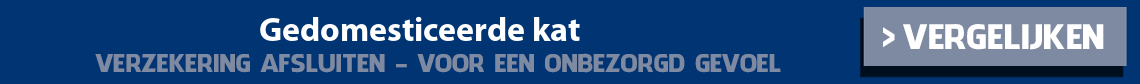 dierenverzekering-gedomesticeerde-kat