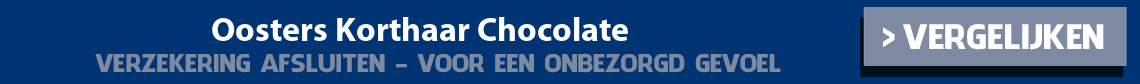 dierenverzekering-oosters-korthaar-chocolate