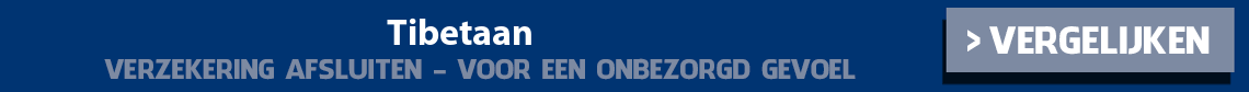 dierenverzekering-tibetaan